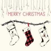 XB142 Seasonal Stockings