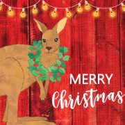 XB066 Merry Kangaroo
